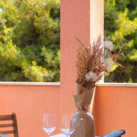 Appartement Andrea Mirce